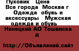 Пуховик › Цена ­ 2 000 - Все города, Москва г. Одежда, обувь и аксессуары » Мужская одежда и обувь   . Ненецкий АО,Тошвиска д.